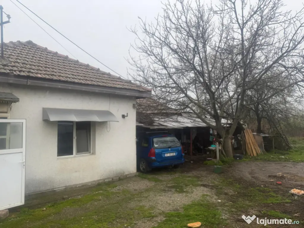 Casă de vânzare în sat Braneț, comuna Bârza, județul O