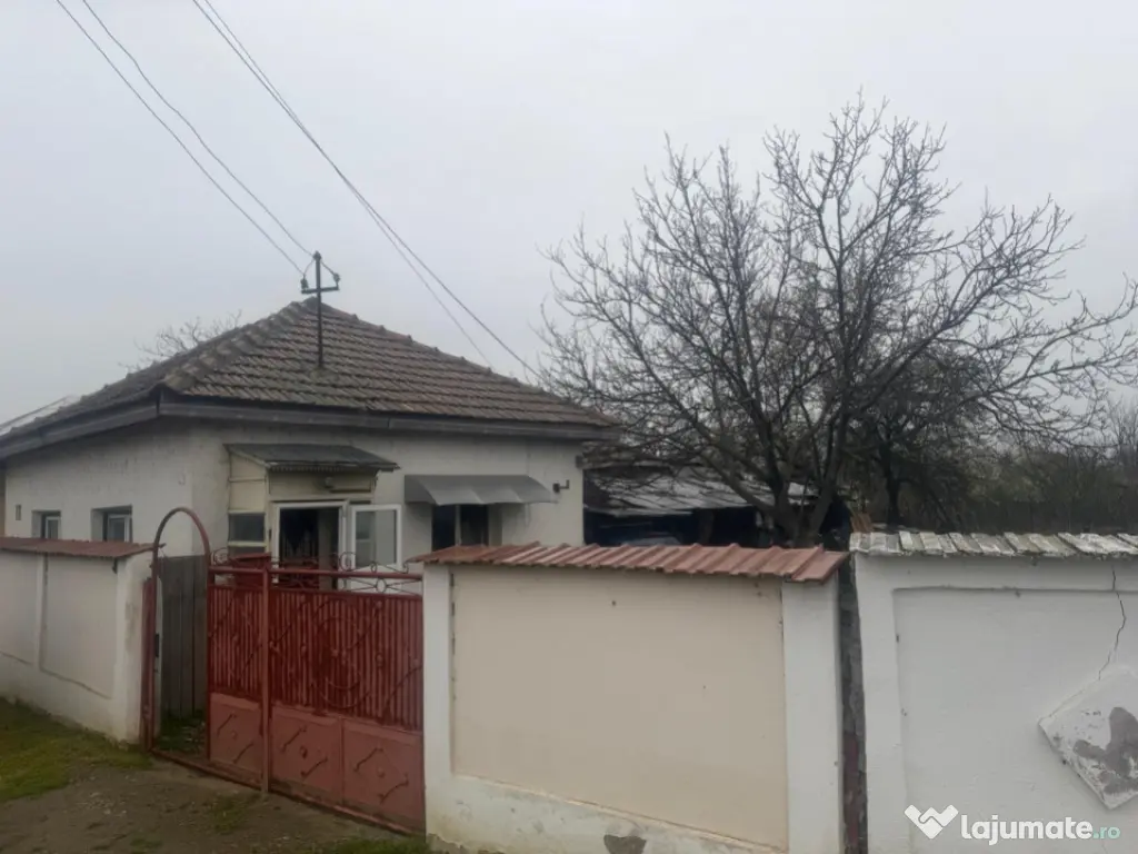 Casă de vânzare în sat Braneț, comuna Bârza, județul O