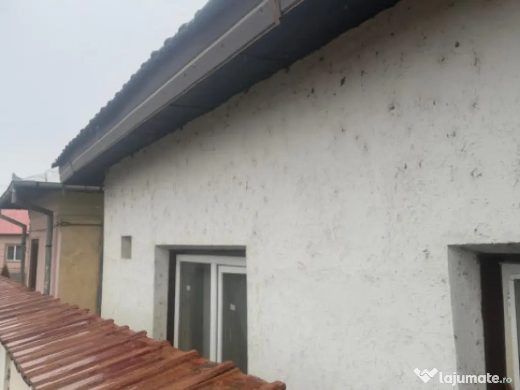 Casă de vânzare în sat Braneț, comuna Bârza, județul O