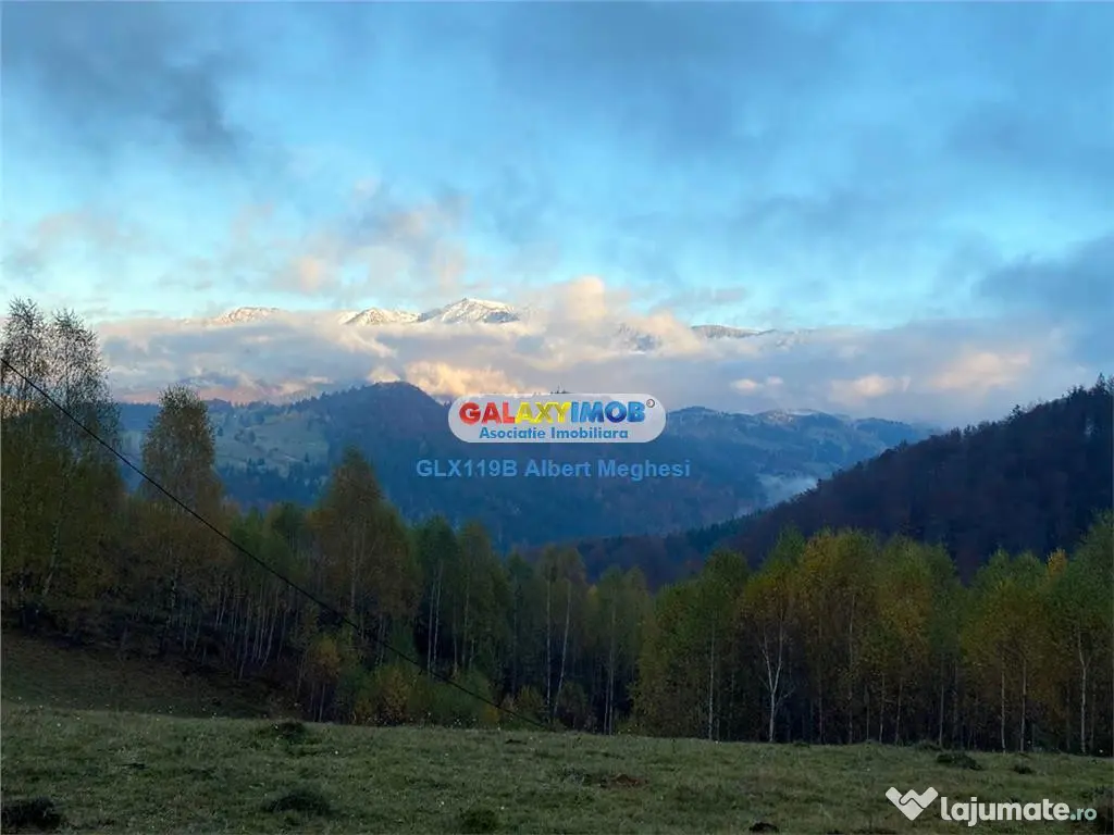 Teren intravilan 10818 mp , 47 ml la DN 73 Moieciu de Jos