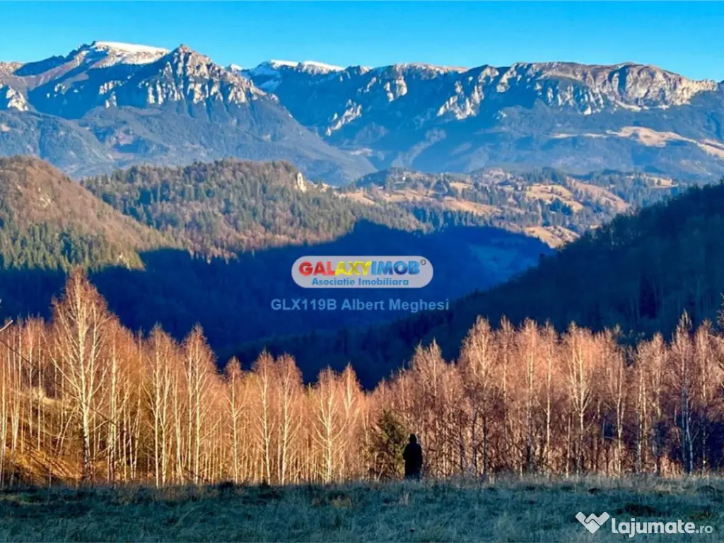 Teren intravilan 10818 mp , 47 ml la DN 73 Moieciu de Jos