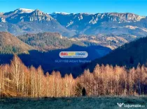 Teren intravilan 10818 mp , 47 ml la DN 73 Moieciu de Jos