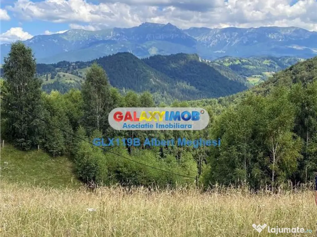 Teren intravilan 10818 mp , 47 ml la DN 73 Moieciu de Jos