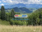 Teren intravilan 10818 mp , 47 ml la DN 73 Moieciu de Jos 