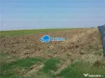 Teren Intravilan Herasti Giurgiu 2 HA