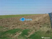 Teren Intravilan Herasti Giurgiu 2 HA 