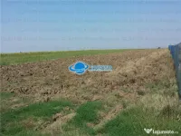Teren Intravilan Herasti Giurgiu 2 HA 