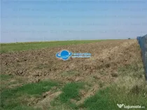 Teren Intravilan Herasti Giurgiu 2 HA