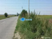 Teren Intravilan Herasti Giurgiu 2 HA 