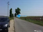 Teren Intravilan Herasti Giurgiu 2 HA 