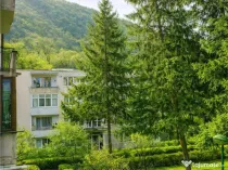 Apartament 2 camere,luminos,incadrat de liniste si verdele n