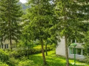 Apartament 2 camere,luminos,incadrat de liniste si verdele n 