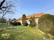 FILM! 5.000mp teren intravilan cu casuta rustica, Dalnic, Co 