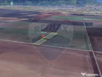 Teren Harman 8500mp / Calea Harmanului 