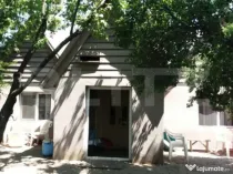 Casa pe parter 50mp utili + teren 4700mp, Bailesti
