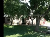 Casa pe parter 50mp utili + teren 4700mp, Bailesti 