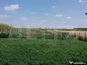 Casa pe parter 50mp utili + teren 4700mp, Bailesti 