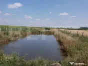 Casa pe parter 50mp utili + teren 4700mp, Bailesti 