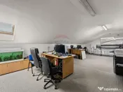 Hala spațioasă și versatilă de închiriat - Aradul Nou 