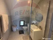 CASA DE VIS DE VANZARE IN COLTIREA 