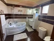 CASA DE VIS DE VANZARE IN COLTIREA 