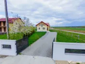 CASA DE VIS DE VANZARE IN COLTIREA 