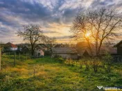 Casa rustica, cu teren roditor de peste 1.000mp, Sanzaieni, 