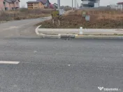 Loturi Vidra-acces din Bulevard! 