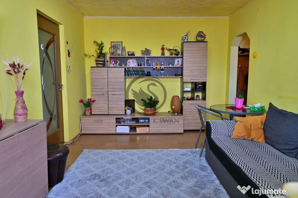 Apartament cu 3 camere de vanzare | Mobilat | Malu Rosu |...