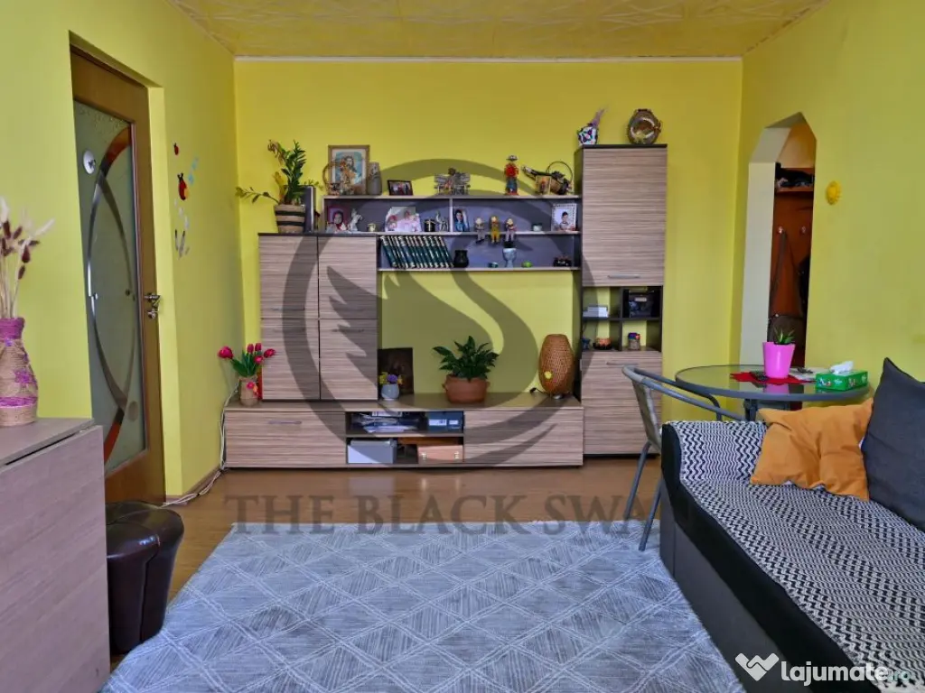 Apartament cu 3 camere de vanzare | Mobilat | Malu Rosu |...