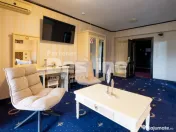 Oportunitate de Business 