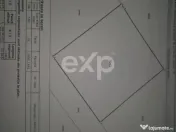 Vanzare teren Albota perfect plan 