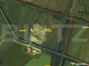 Teren intravilan 36.200 mp în zona Odoreu – oportunitate 