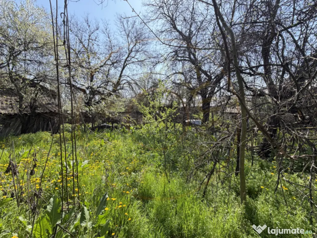 Teren 1047 mp – spațiu suficient pentru orice plan ai