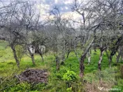 ???? Teren Construibil 2900 mp cu 2 deschideri la asfalt – 