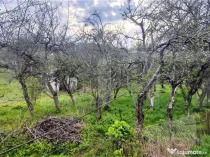 ???? Teren Construibil 2900 mp cu 2 deschideri la asfalt –