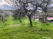 ???? Teren Construibil 2900 mp cu 2 deschideri la asfalt – 