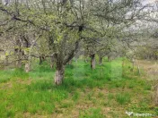 ???? Teren Construibil 2900 mp cu 2 deschideri la asfalt – 