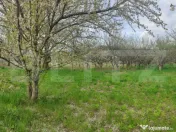 ???? Teren Construibil 2900 mp cu 2 deschideri la asfalt – 