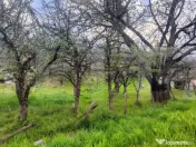 ???? Teren Construibil 2900 mp cu 2 deschideri la asfalt – 