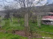 ???? Teren Construibil 2900 mp cu 2 deschideri la asfalt – 