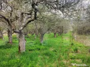 ???? Teren Construibil 2900 mp cu 2 deschideri la asfalt – 