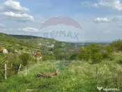 Teren intravilan Podgoria 