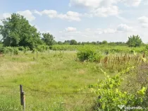 Teren intravilan Merei, Ograzile 1700mp, deschidere 30 m stradă asfaltată