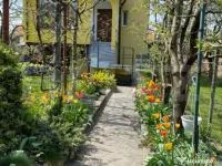 2 Proprietati, 320 mp utili, in centrul Turzii 