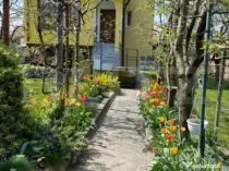 2 Proprietati, 320 mp utili, in centrul Turzii