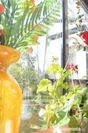 Apartament cu trei camere situat in Busteni 