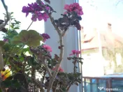 Apartament cu trei camere situat in Busteni 