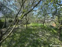 Teren intravilan 250 mp Bercu Roșu 