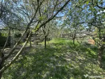 Teren intravilan, 250 mp, zona Bercu Roșu